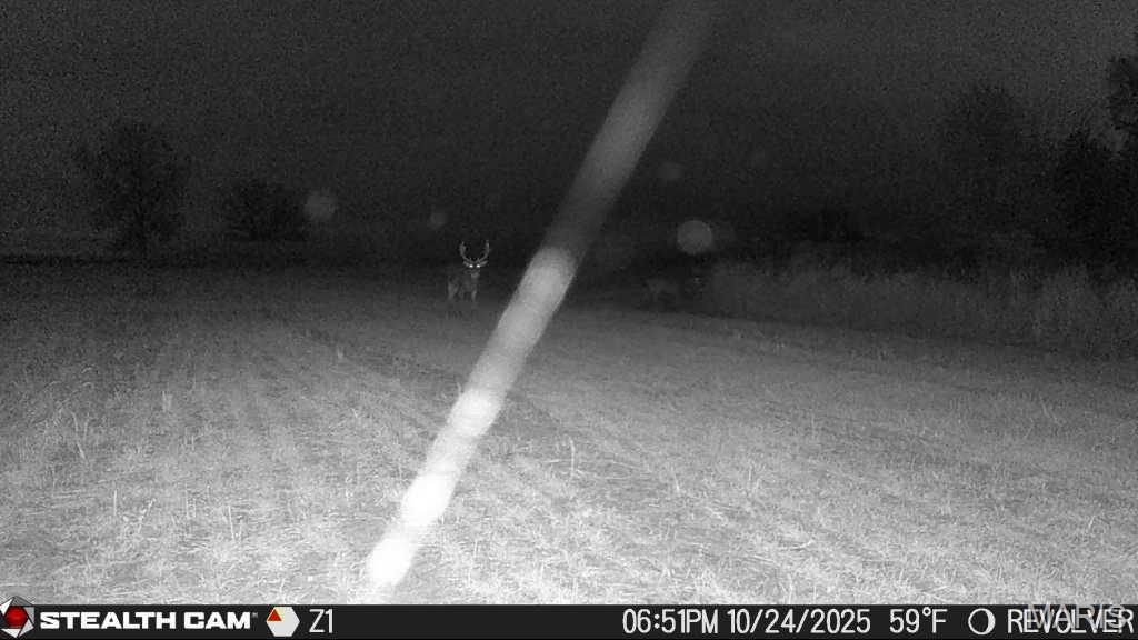 153 +/- Ac Aspen Drive Property Photo 50