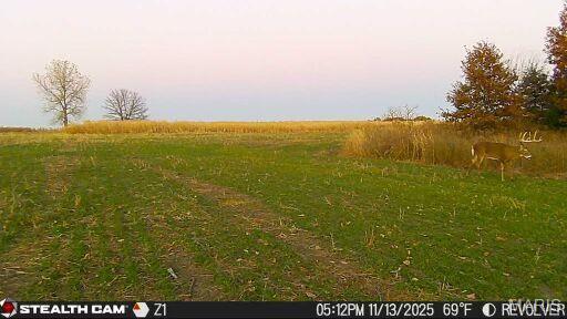 153 +/- Ac Aspen Drive Property Photo 52
