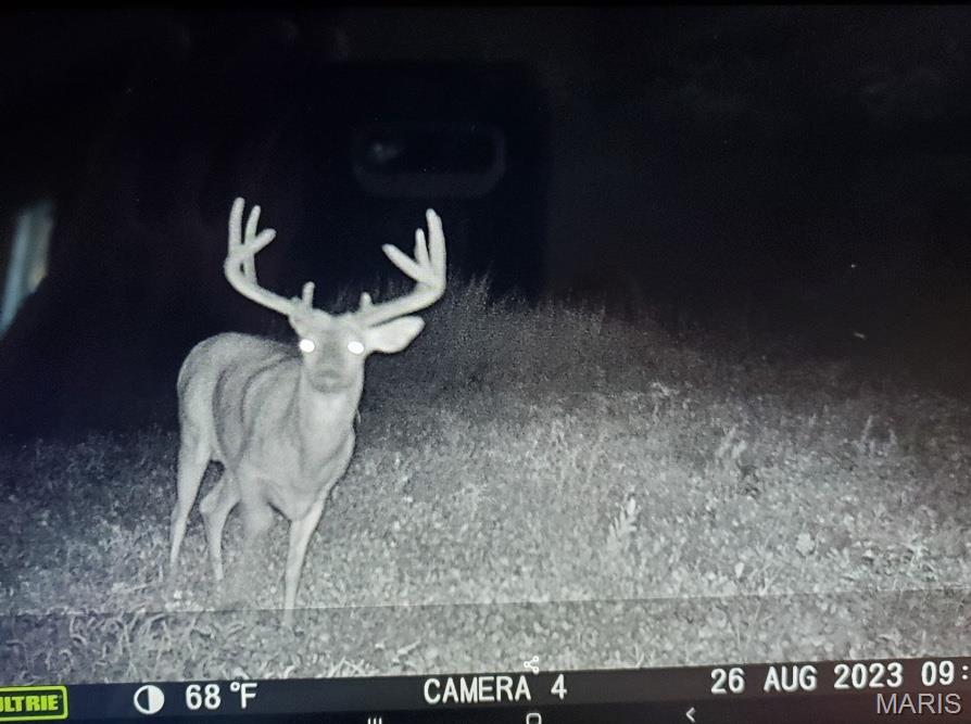 153 +/- Ac Aspen Drive Property Photo 53