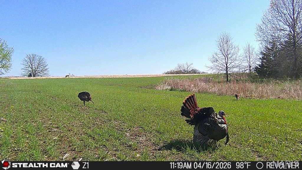 153 +/- Ac Aspen Drive Property Photo 54