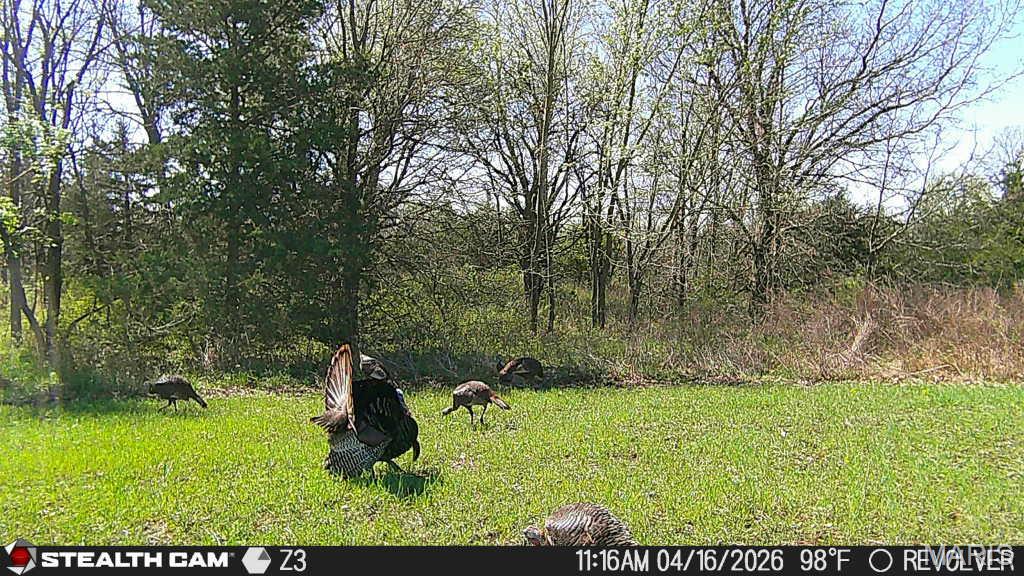 153 +/- Ac Aspen Drive Property Photo 55