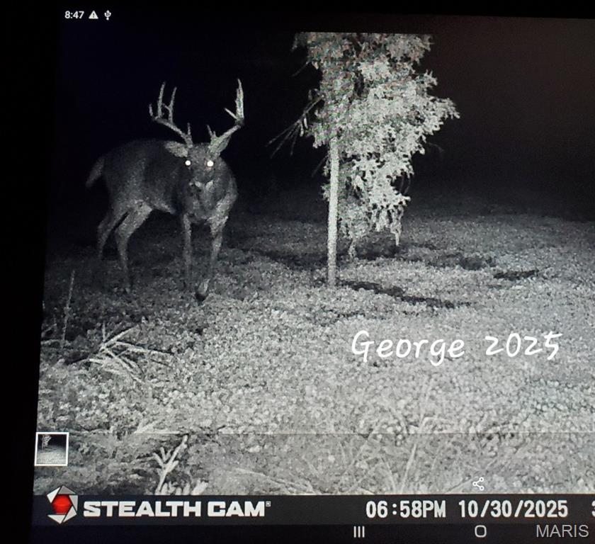 153 +/- Ac Aspen Drive Property Photo 56