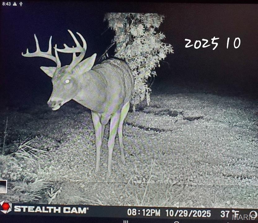 153 +/- Ac Aspen Drive Property Photo 57