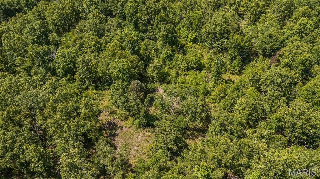 1 Ripley Route V Property Photo 4