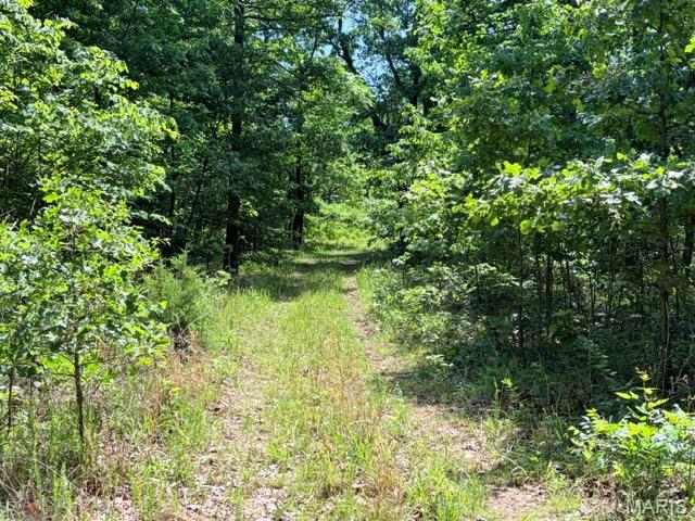 1 Ripley Route V Property Photo 8
