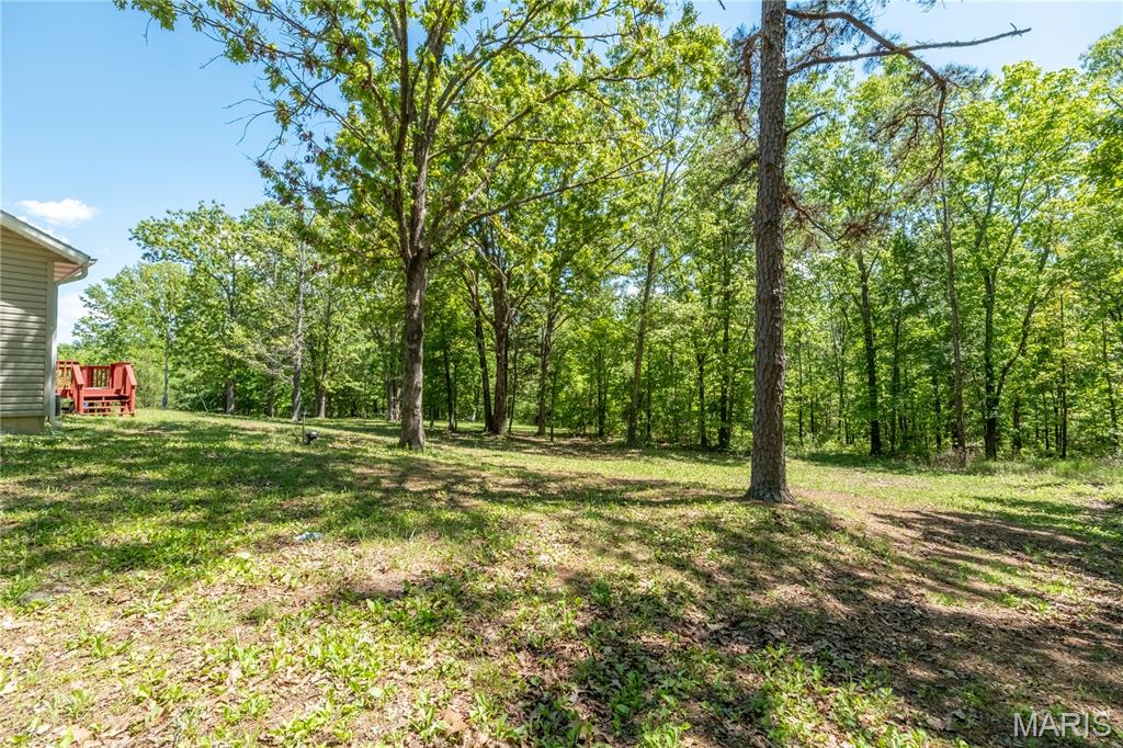 9716 State Highway A Property Photo 33