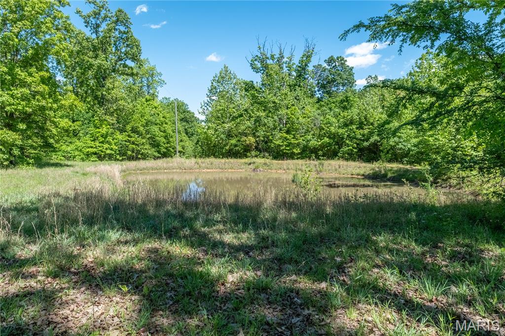 9716 State Highway A Property Photo 38