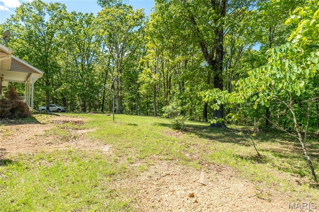 9716 State Highway A Property Photo 39