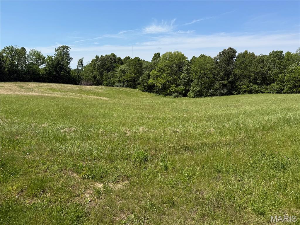 0 Spring Valley Drive Property Photo 1