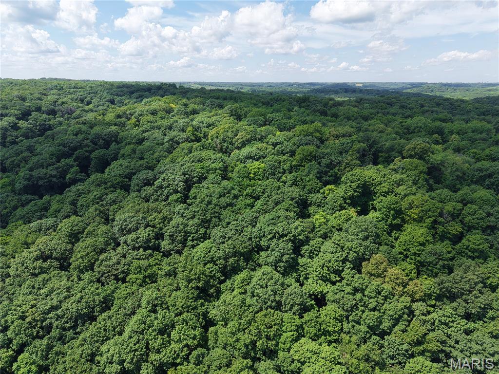 24 Monkey Run Property Photo 9