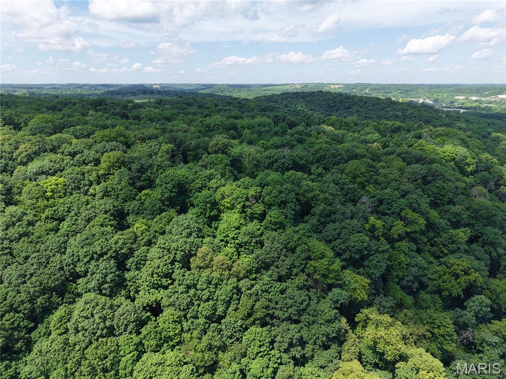 24 Monkey Run Property Photo 11