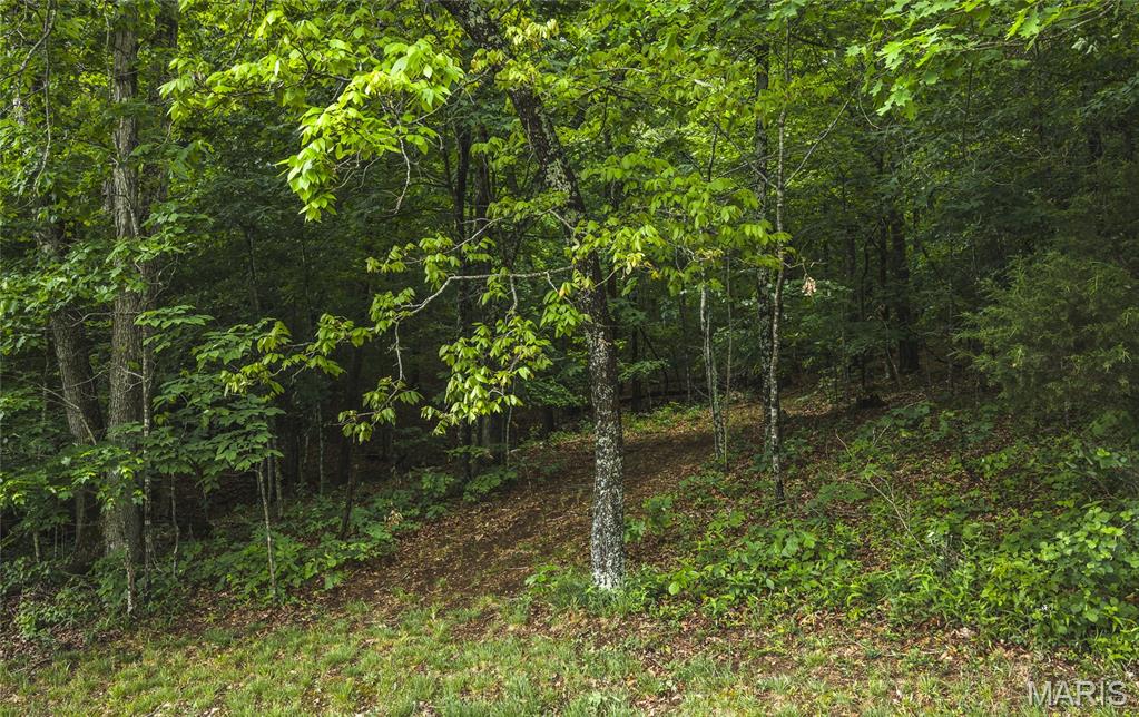 21575 State Highway B Property Photo 17