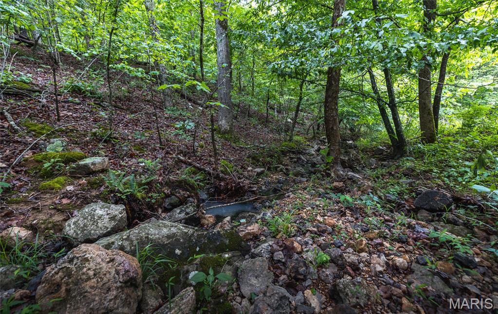 21575 State Highway B Property Photo 24