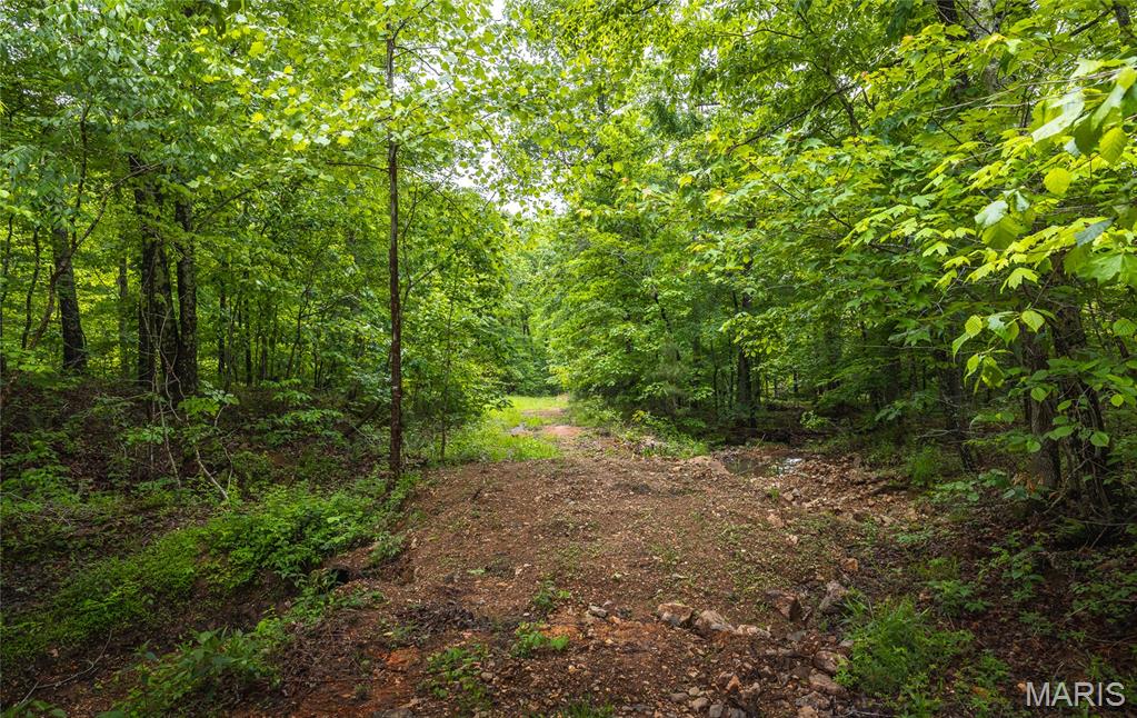21575 State Highway B Property Photo 26