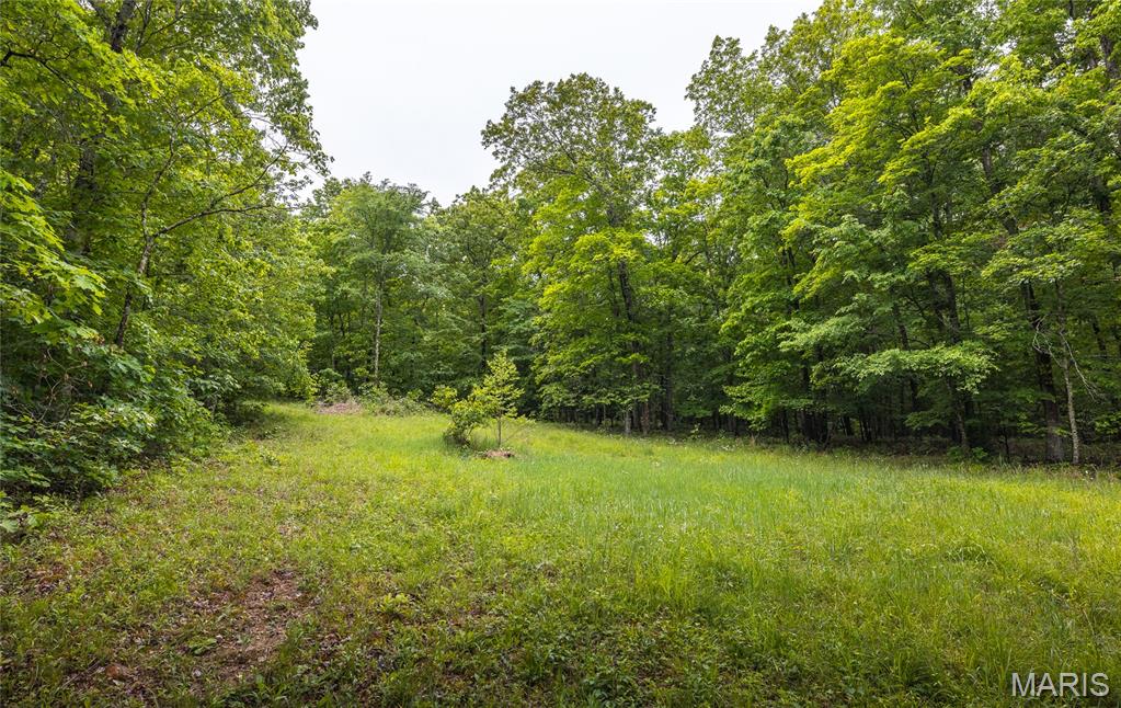 21575 State Highway B Property Photo 27