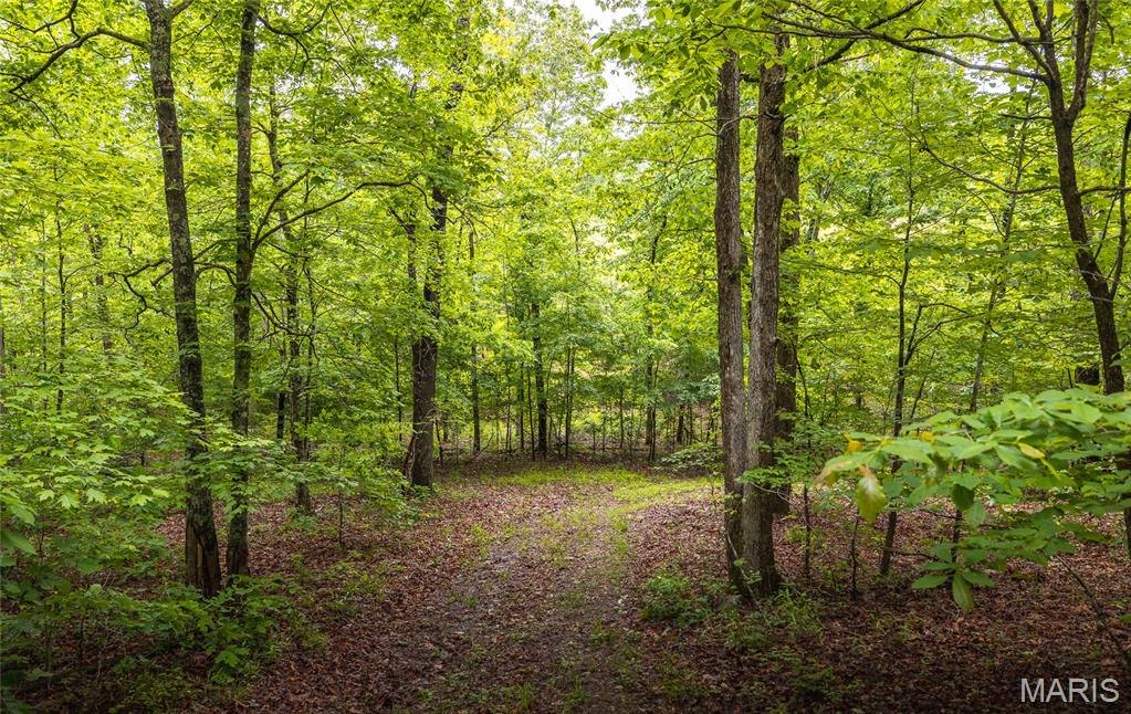 21575 State Highway B Property Photo 30