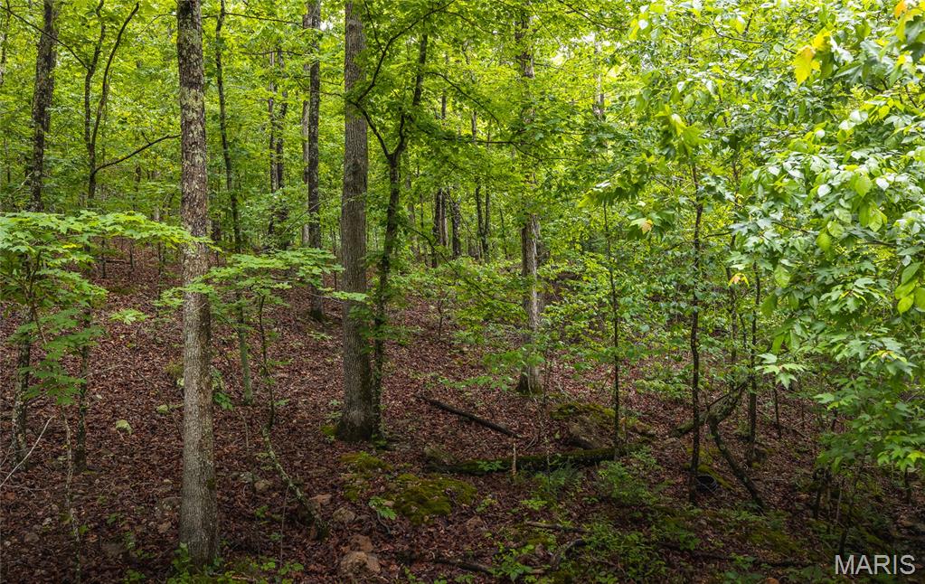 21575 State Highway B Property Photo 31