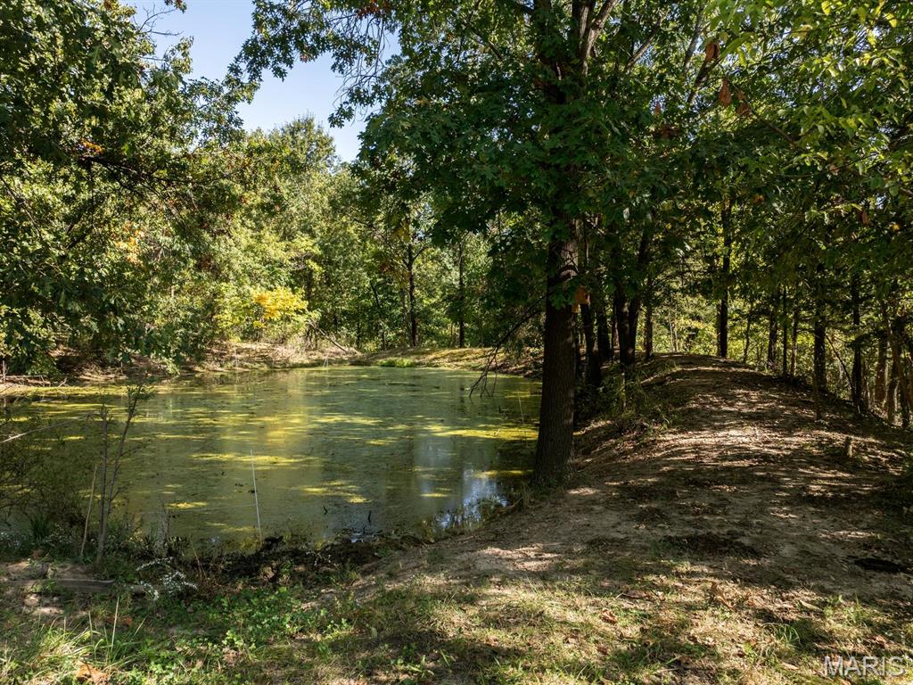 12746 Thornberry Road Property Photo 19