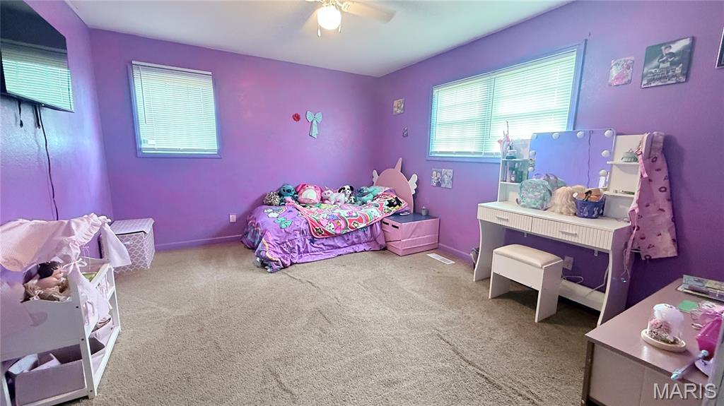 4312 State Highway C Property Photo 18