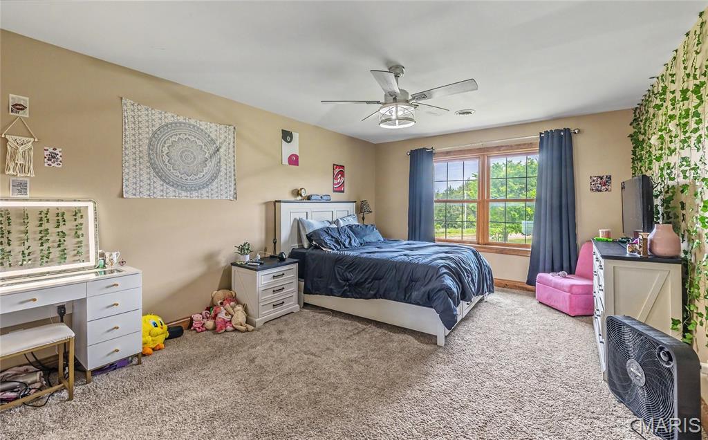 446 Cedar Breeze Drive Property Photo 44