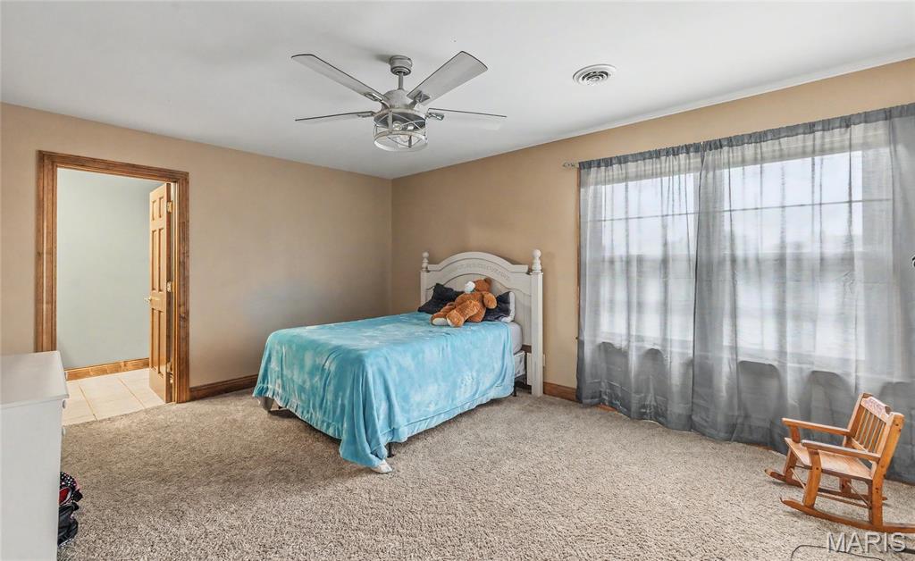 446 Cedar Breeze Drive Property Photo 49