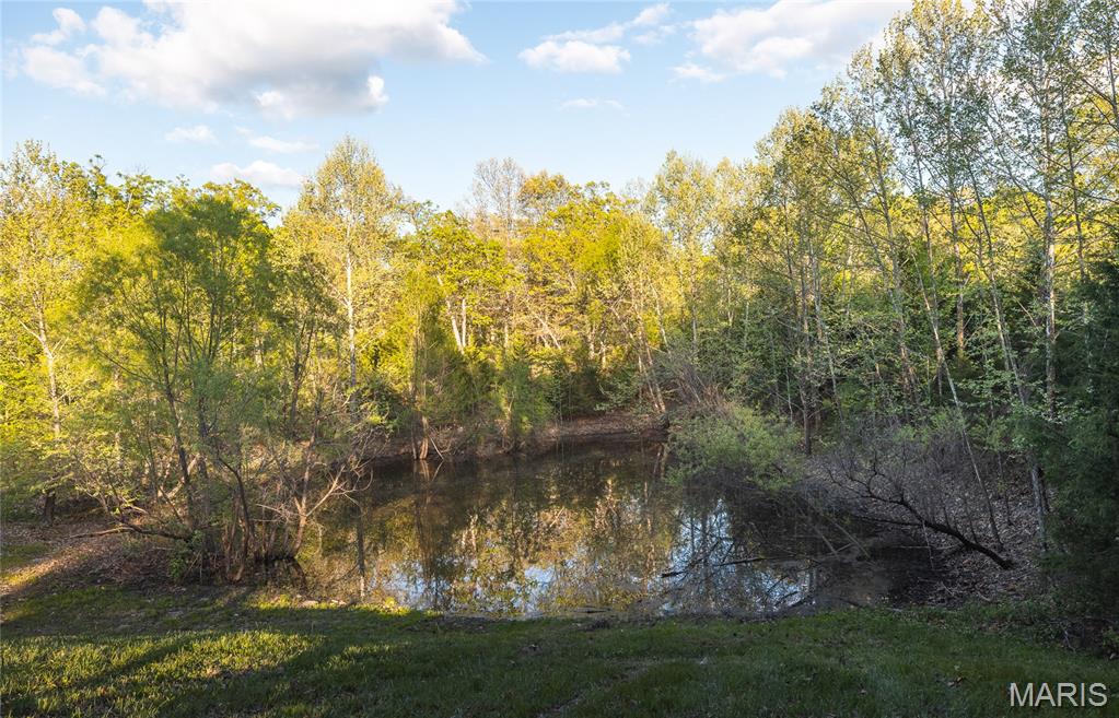 1276 Highway Y Property Photo 42