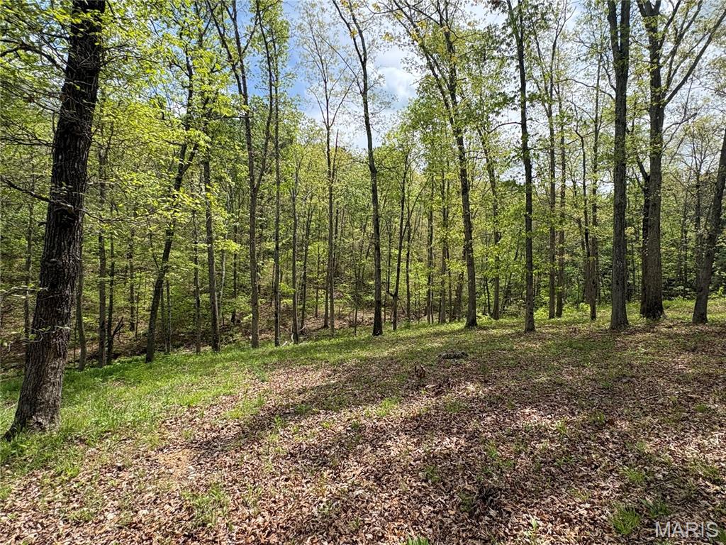 10405 County Road 700 Property Photo 1