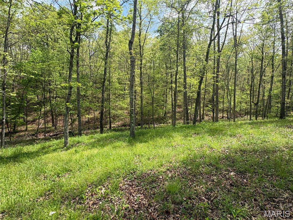 10405 County Road 700 Property Photo 17
