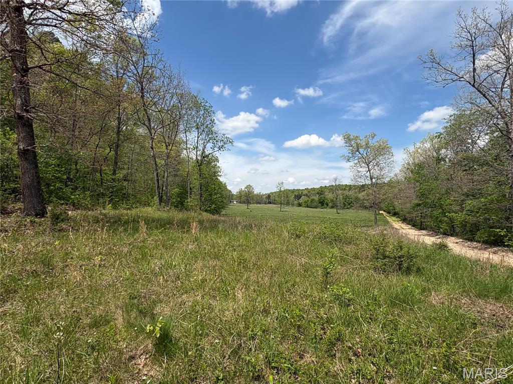 10405 County Road 700 Property Photo 18