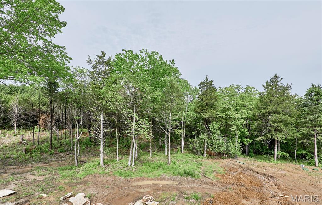 22595 Highway O Property Photo 1