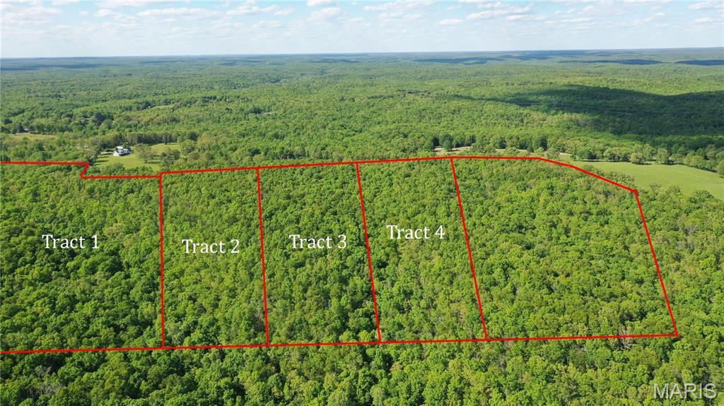Tract 4 County Rd 4215 Property Photo 1