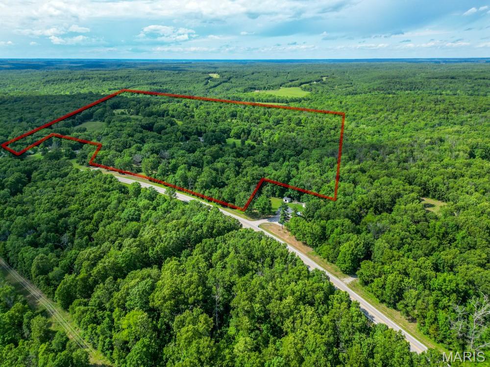 12025 Highway 64 Property Photo 46