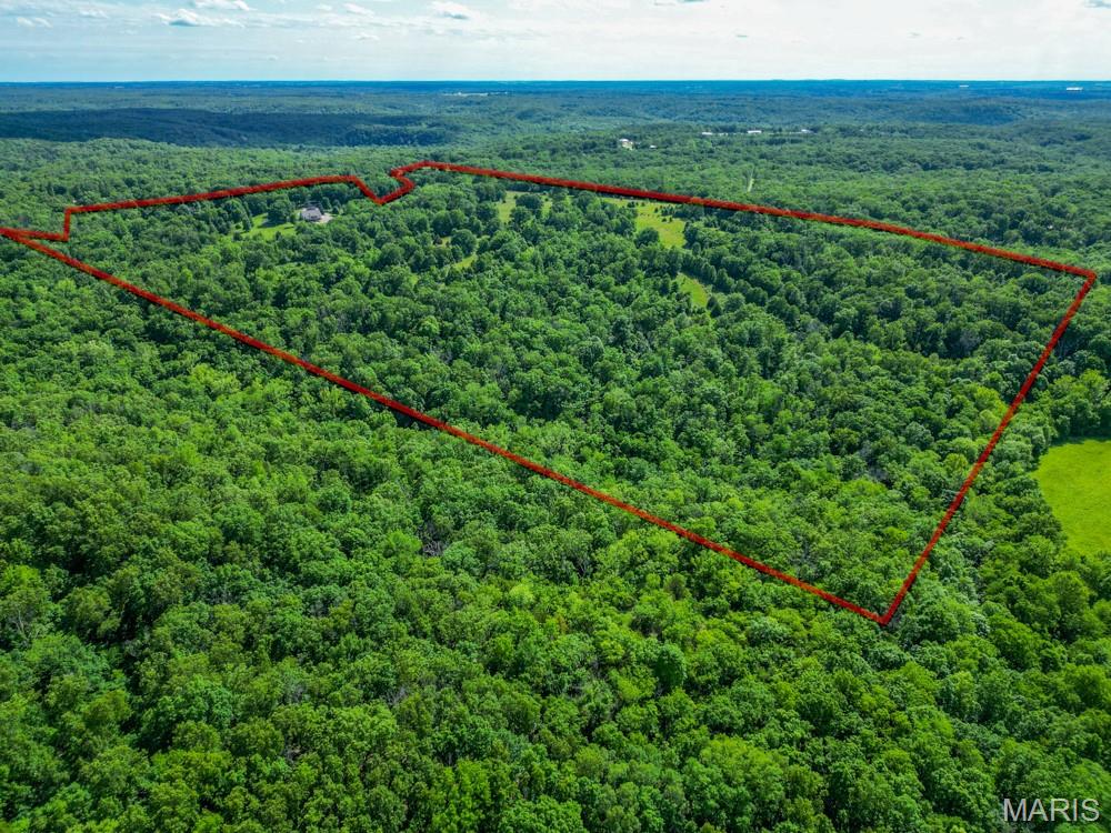12025 Highway 64 Property Photo 47