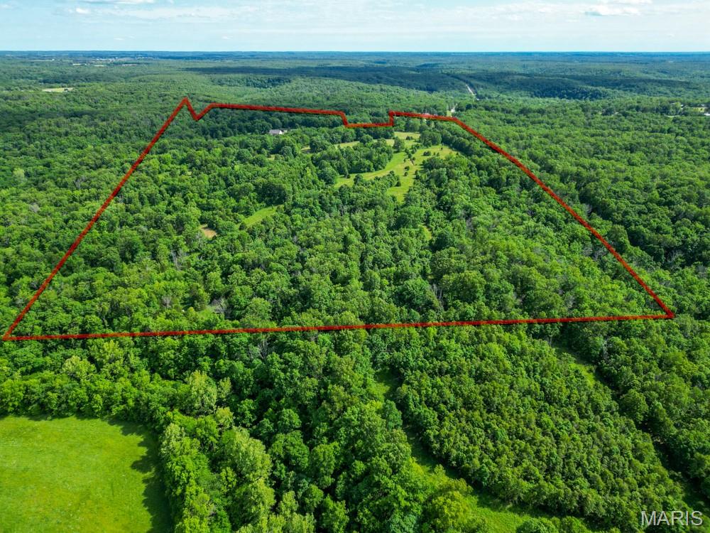 12025 Highway 64 Property Photo 48