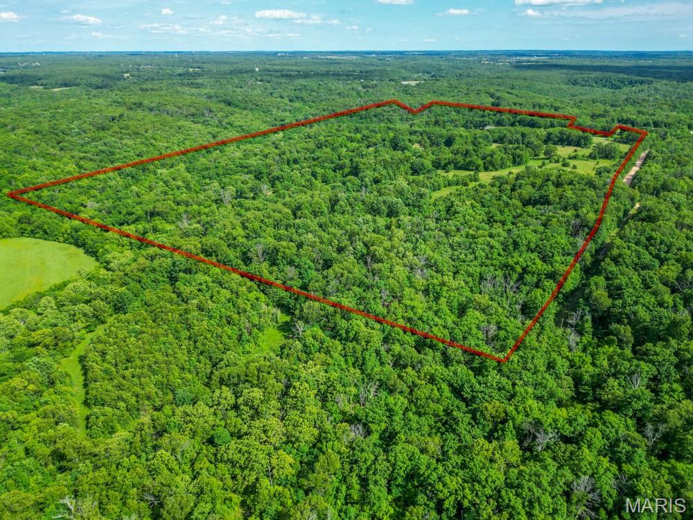 12025 Highway 64 Property Photo 49