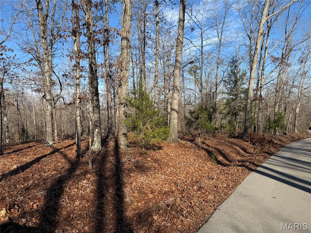 0 Bass Rock Drive Property Photo 11