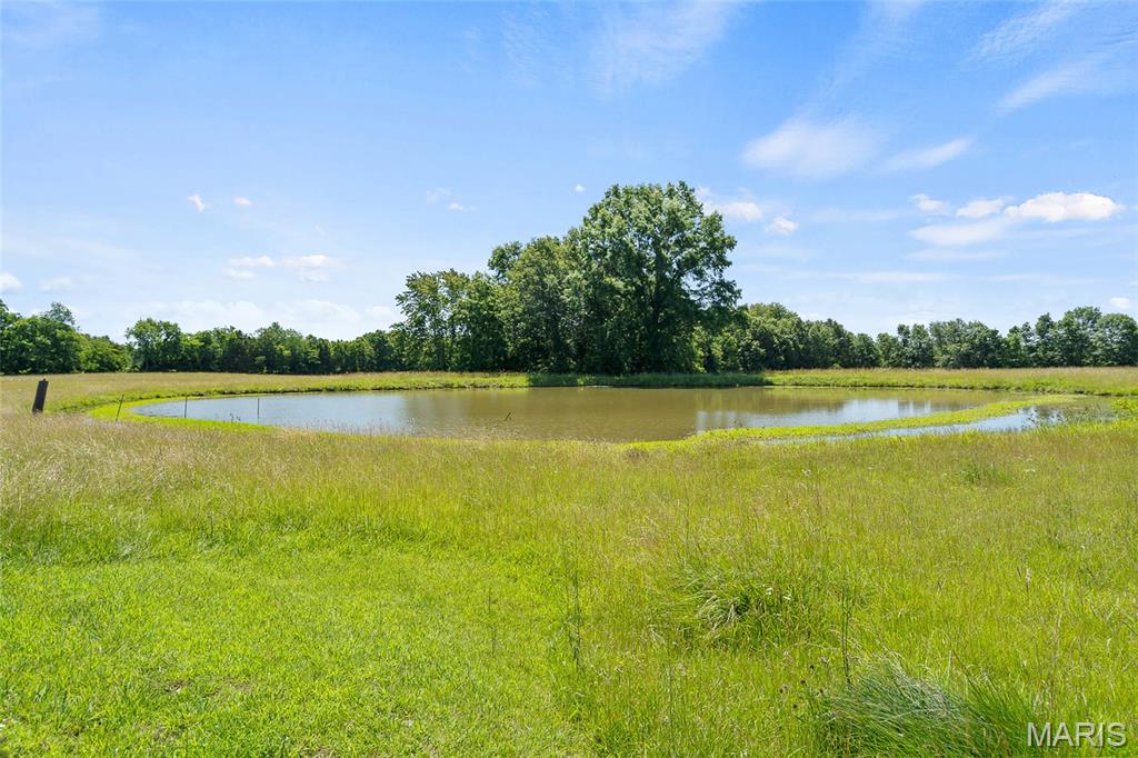 3616 County Road 2860 Property Photo 39