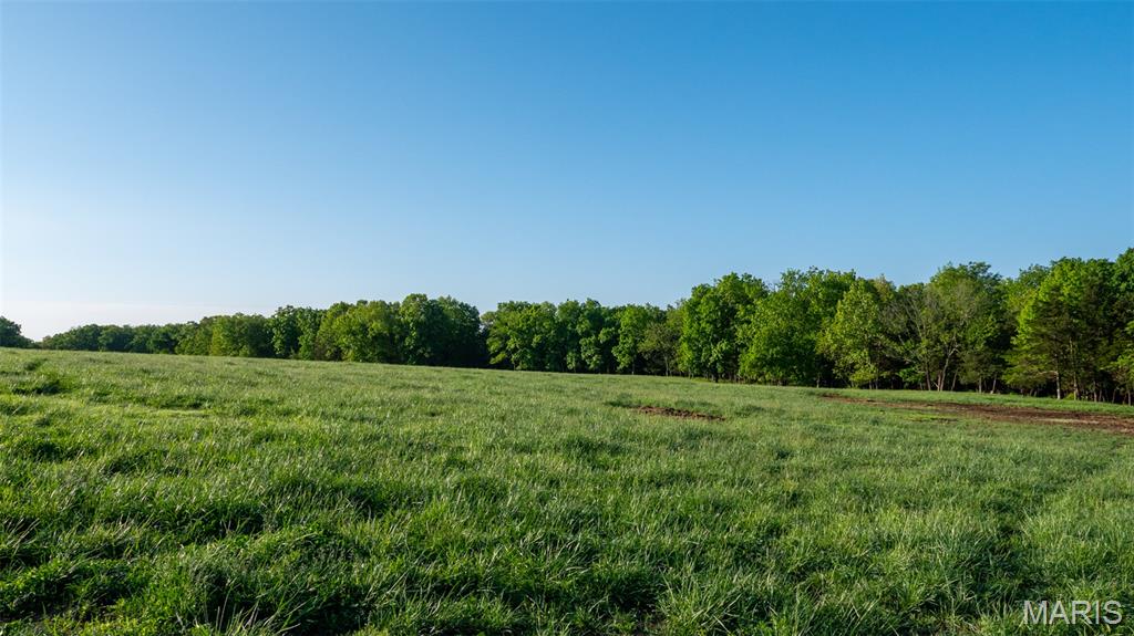 9904 State Highway Bb Property Photo 44