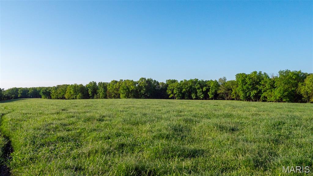 9904 State Highway Bb Property Photo 45
