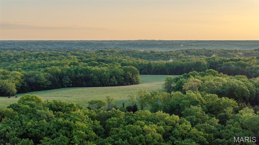 9904 State Highway Bb Property Photo 57
