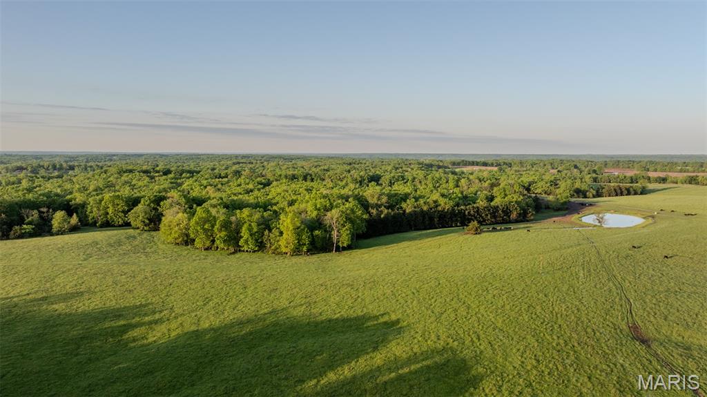 9904 State Highway Bb Property Photo 67