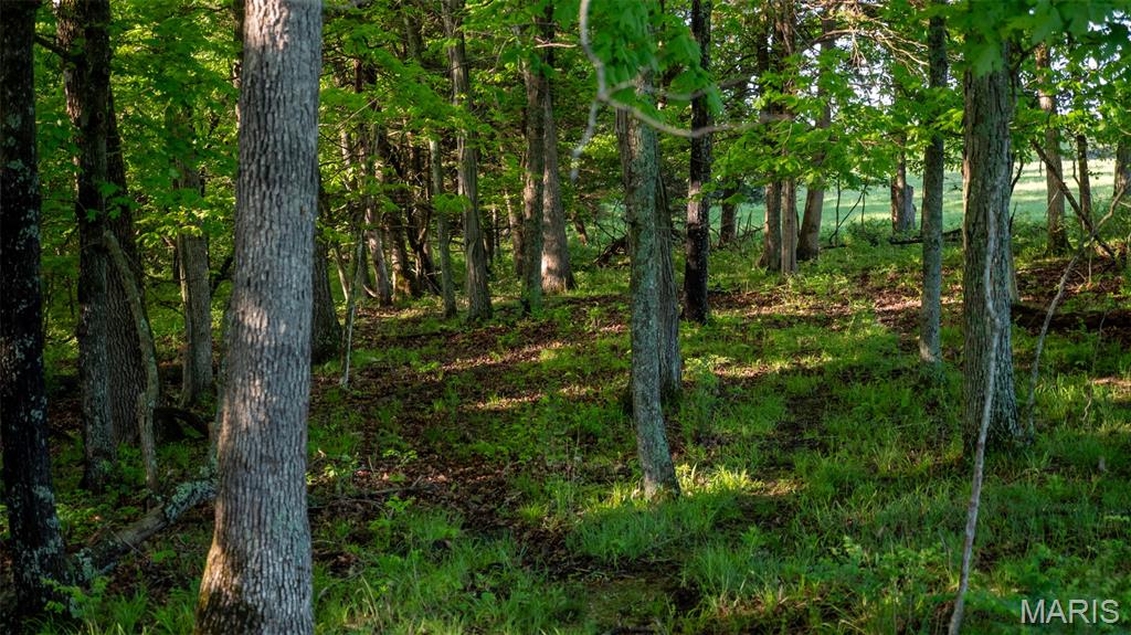 9904 State Highway Bb Property Photo 70