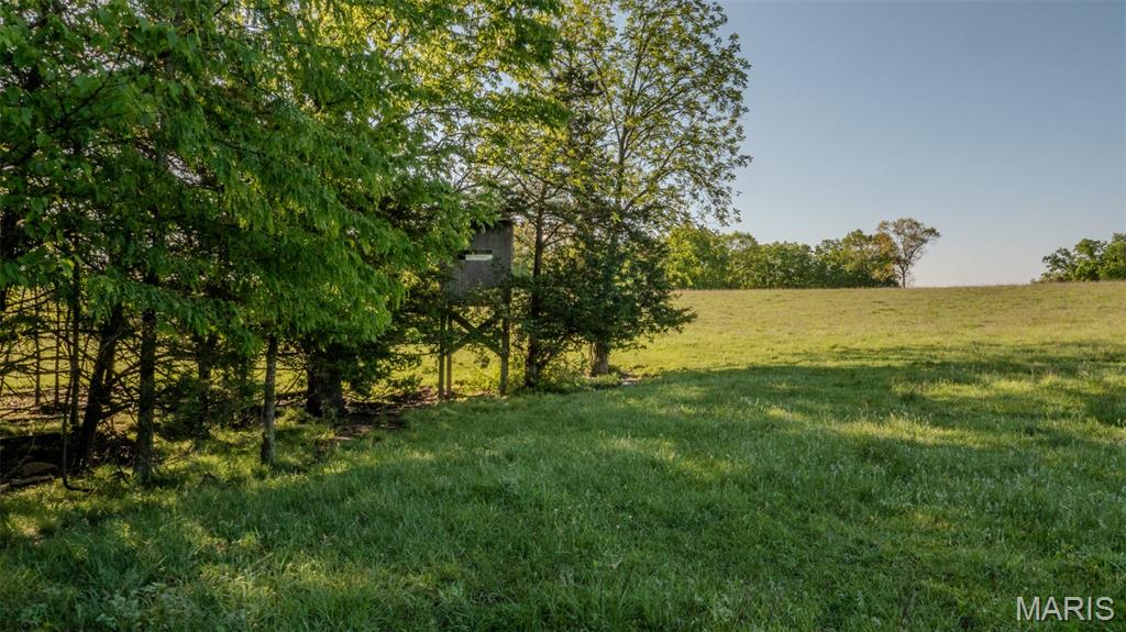 9904 State Highway Bb Property Photo 73