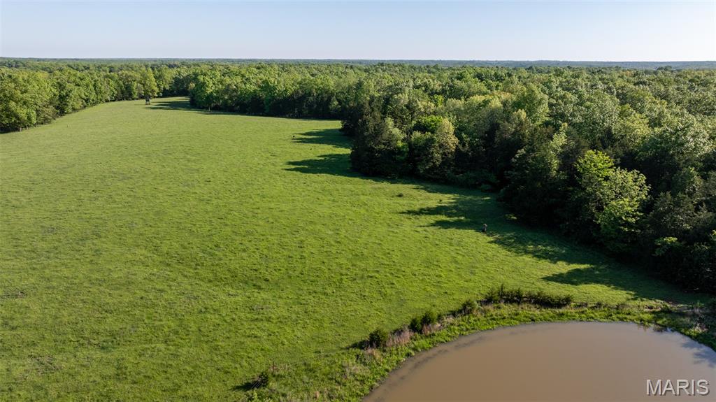 9904 State Highway Bb Property Photo 74