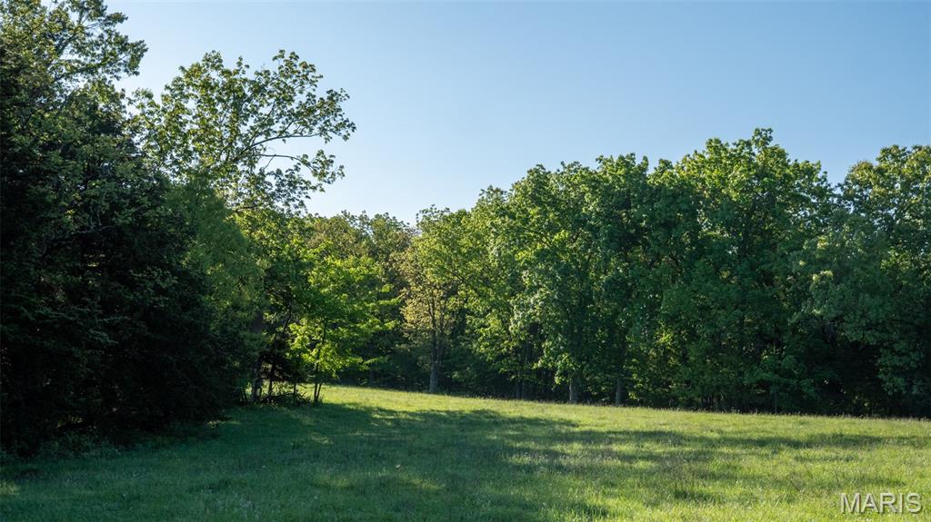 9904 State Highway Bb Property Photo 78