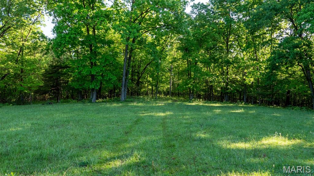 9904 State Highway Bb Property Photo 80