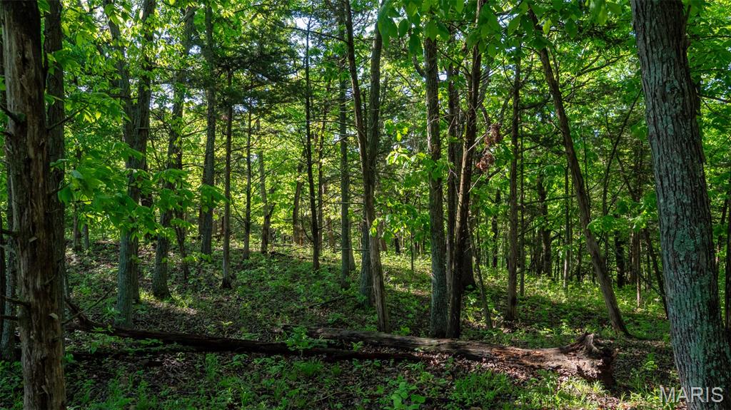 9904 State Highway Bb Property Photo 81