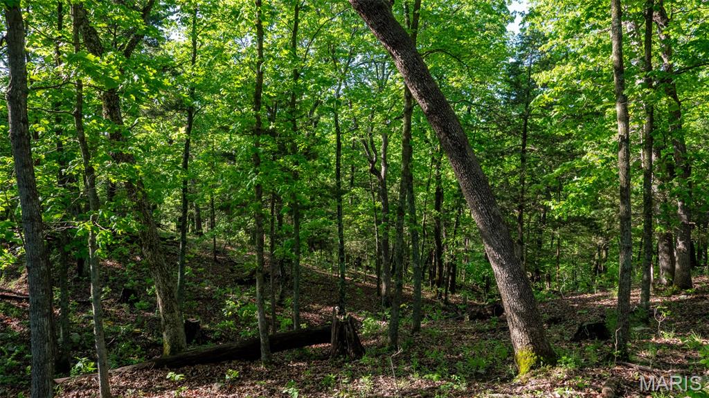 9904 State Highway Bb Property Photo 82