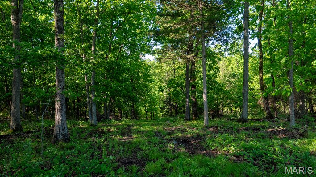 9904 State Highway Bb Property Photo 85