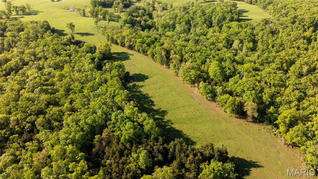 9904 State Highway Bb Property Photo 87